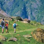 niños caminando por el monte